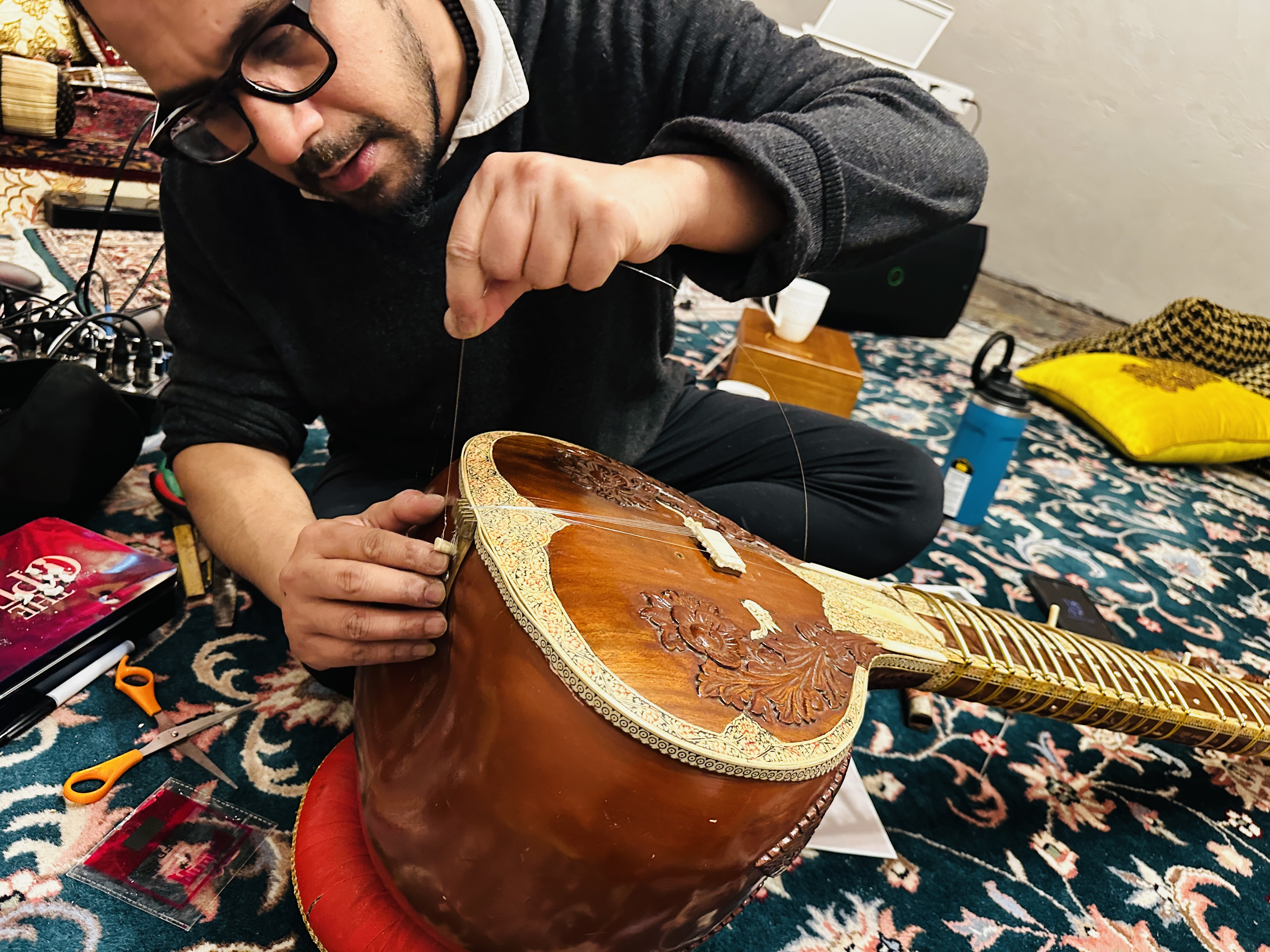 Sitar instrument care and repair